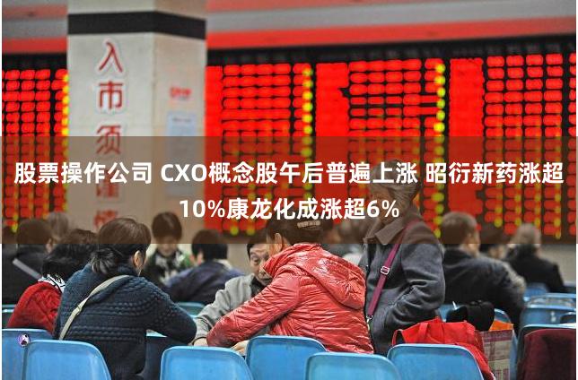 股票操作公司 CXO概念股午后普遍上涨 昭衍新药涨超10%康龙化成涨超6%