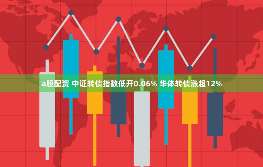 a股配资 中证转债指数低开0.06% 华体转债涨超12%