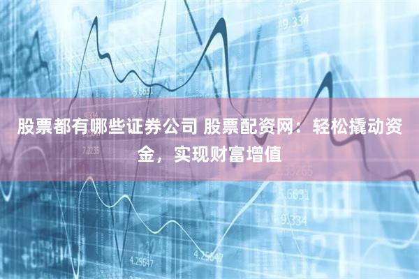 股票都有哪些证券公司 股票配资网：轻松撬动资金，实现财富增值